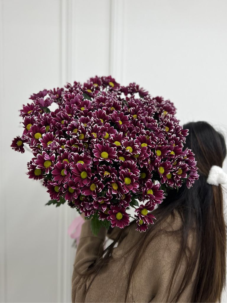 Хризантема кустовая Haydar Pink