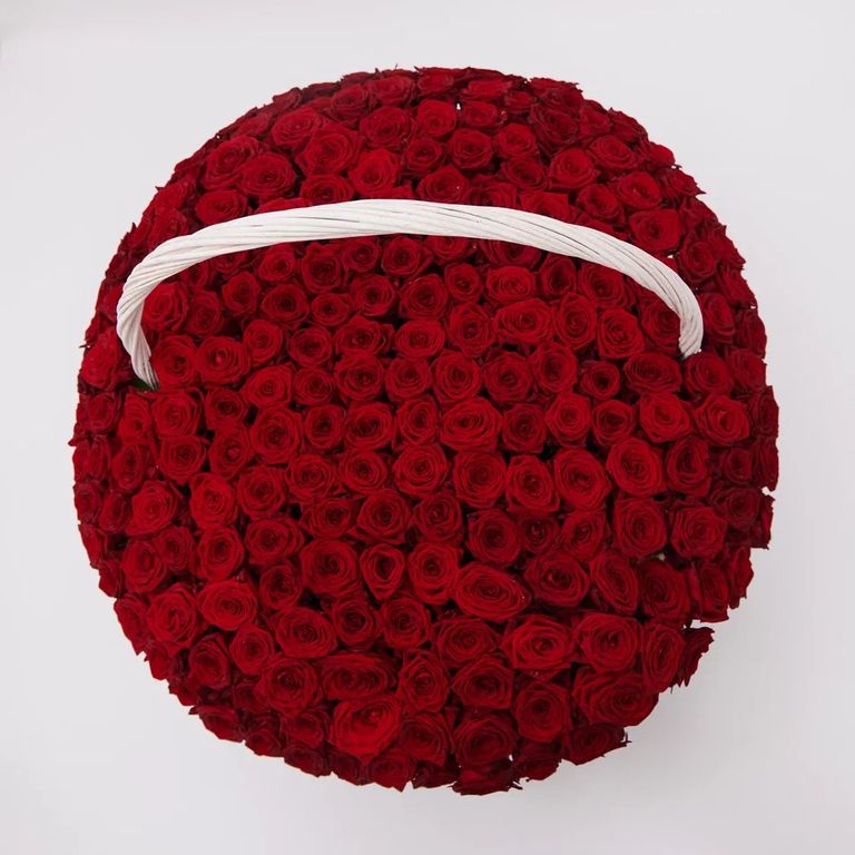 Корзина из 201 розы Red Naomi