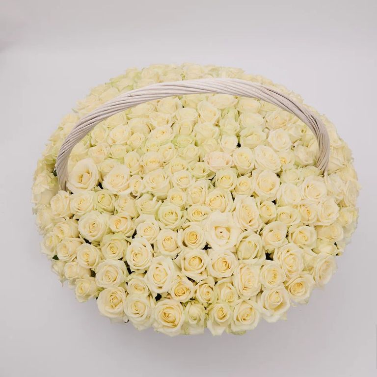 Корзина 33