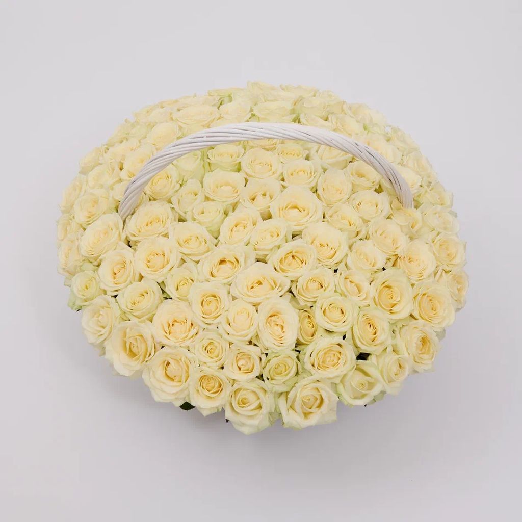 Корзина 31