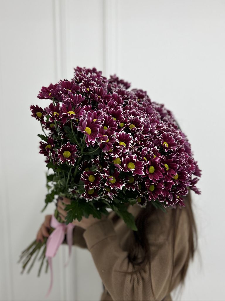 Хризантема кустовая Haydar Pink