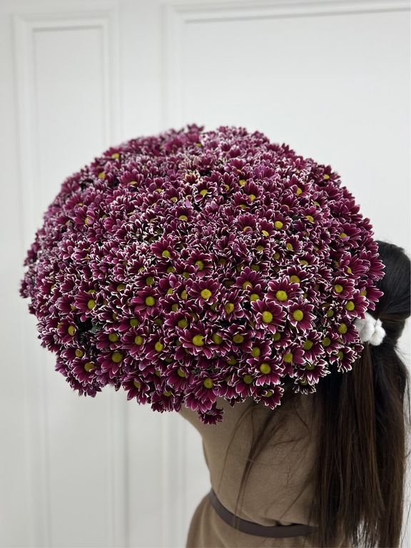 Хризантема кустовая Haydar Pink